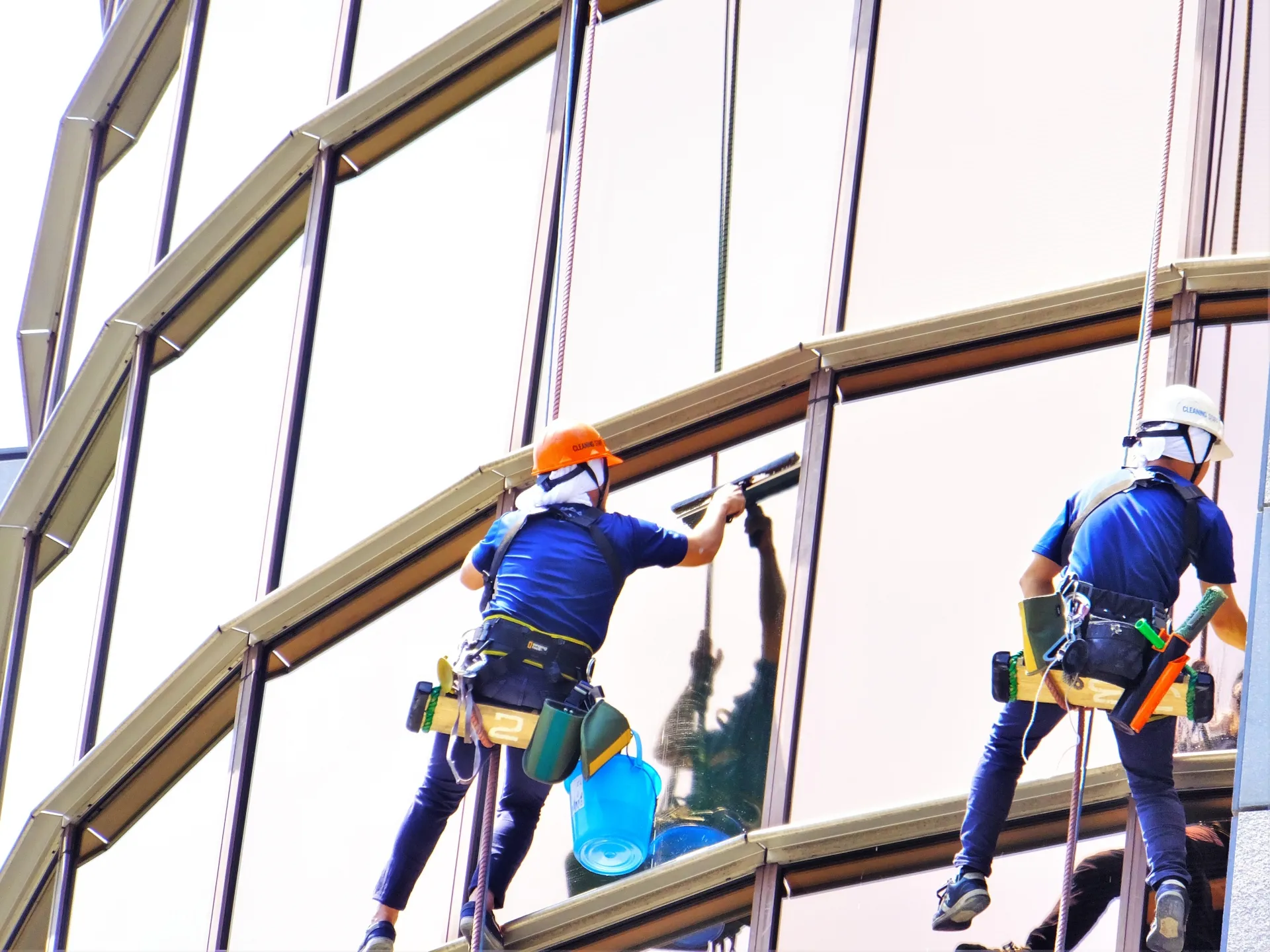 窓ガラスの外側洗浄の様子